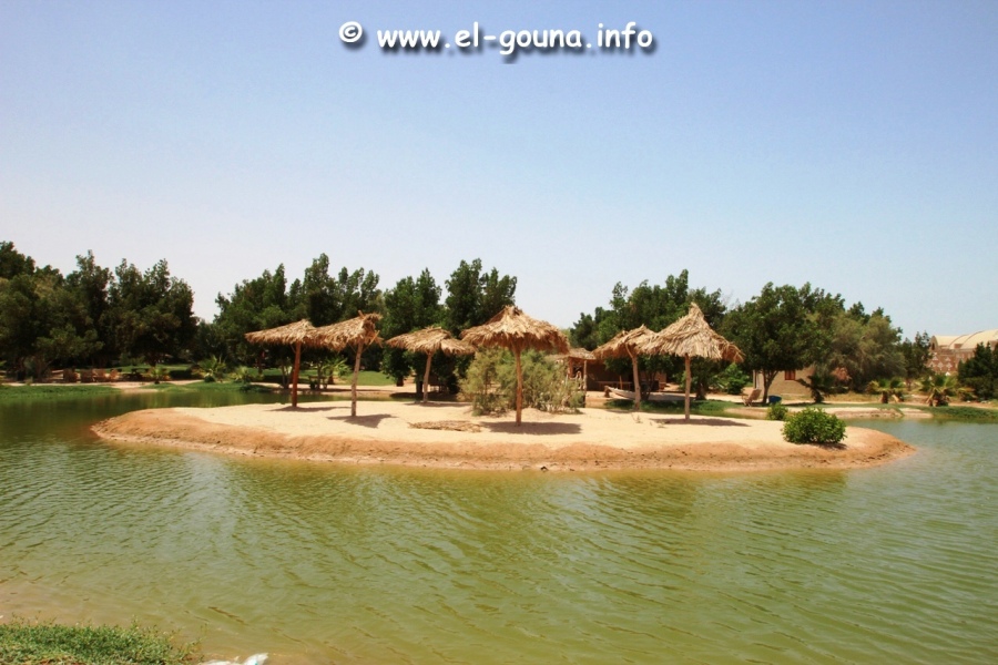 El Gouna Fishfarm 3680